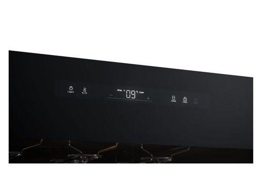 Холодильник Casarte CASWS170GDAI